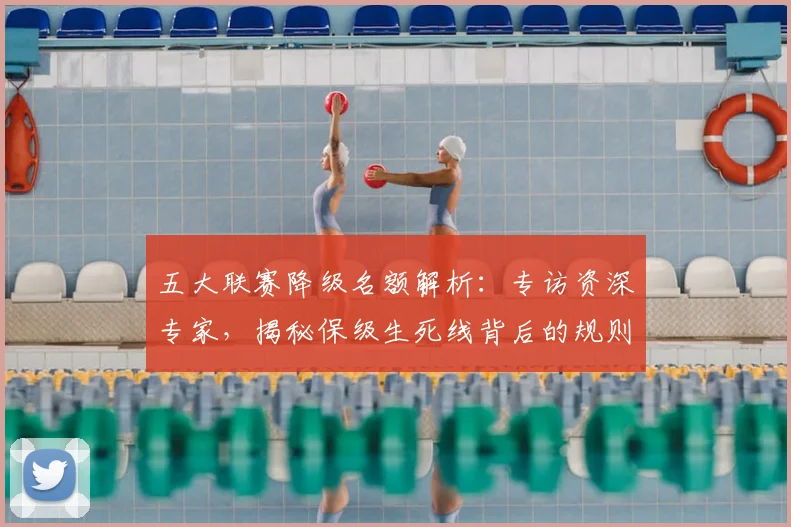 五大联赛降级名额解析：专访资深专家，揭秘保级生死线背后的规则与策略